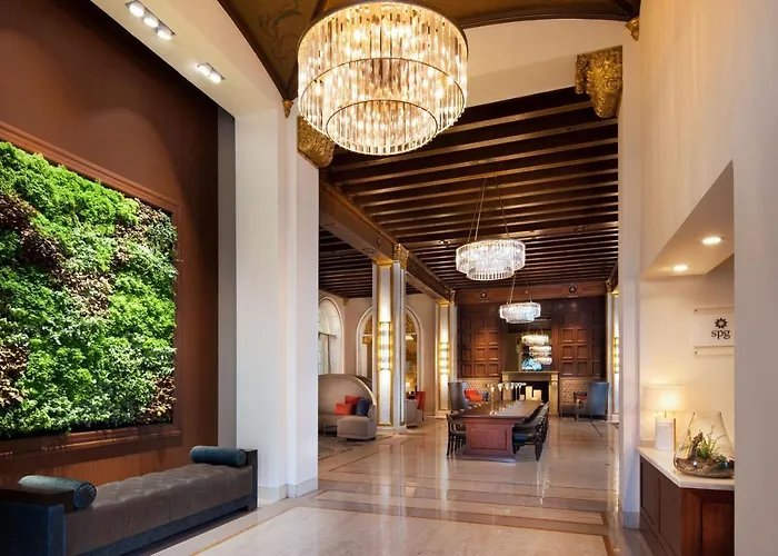 Explore the Best Hotels San Jose Has to Offer
